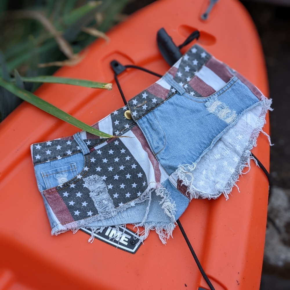 Flag Shorts by "AMERICAN AS F***"